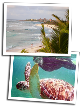 Akumal Beach Front Rentals, Beach Hotel Rooms & Beach Front Condos in Akumal