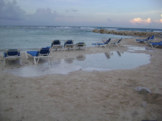 image115.jpg