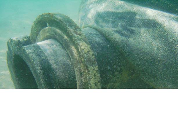 image125.jpg