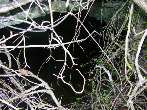 image143.jpg