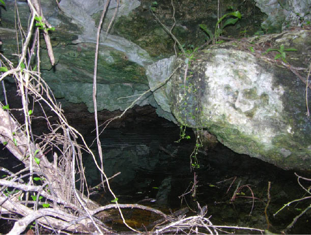 image145.jpg