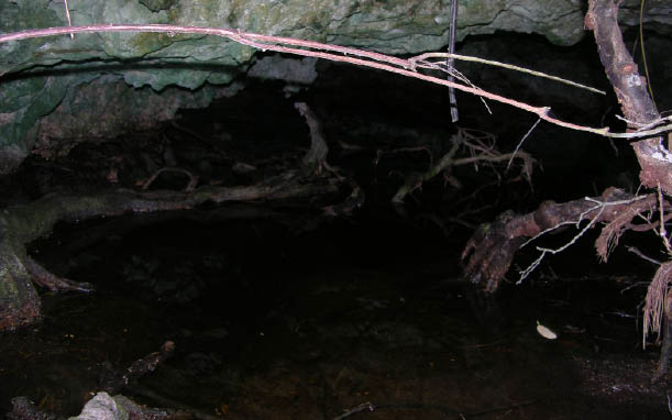 image147.jpg